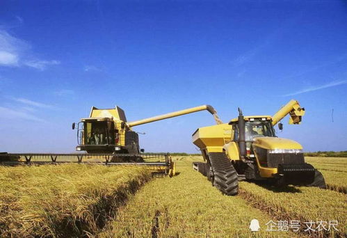 一锤子买卖 土地退出机制下，农村加速空心化与农业机械何去何从